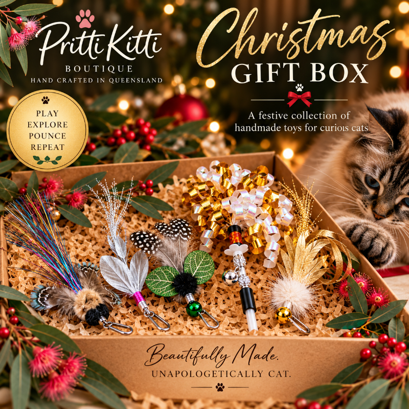 Christmas Cat Gift box featuring handmade toys for curious cats, designed for festive play and exploration.