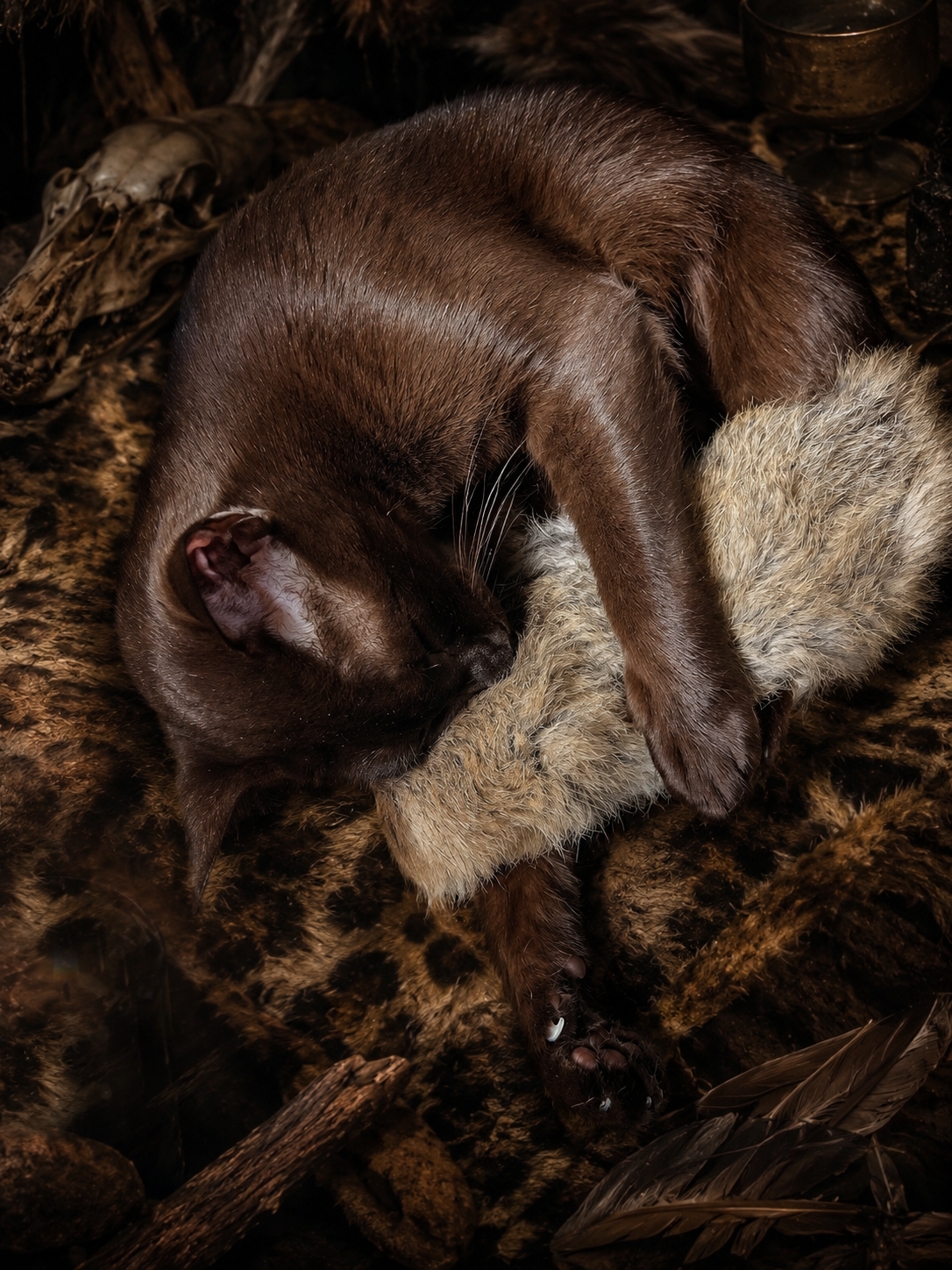 Cat Kicker Rumble Rabbit – The Ultimate Playful Companion - Pritti Kitti Boutique