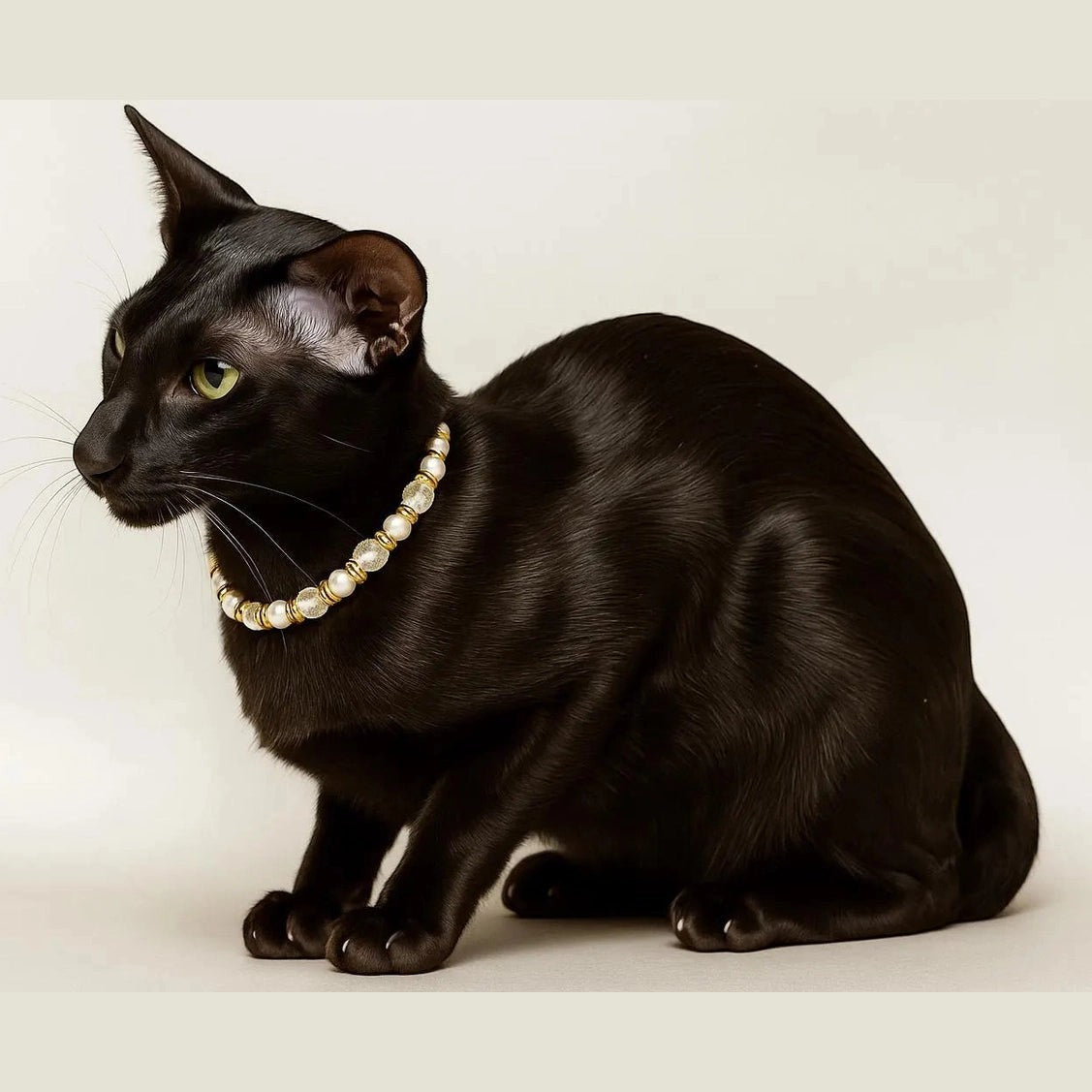 Pearls & Prosecco Collar - Pritti Kitti Boutique