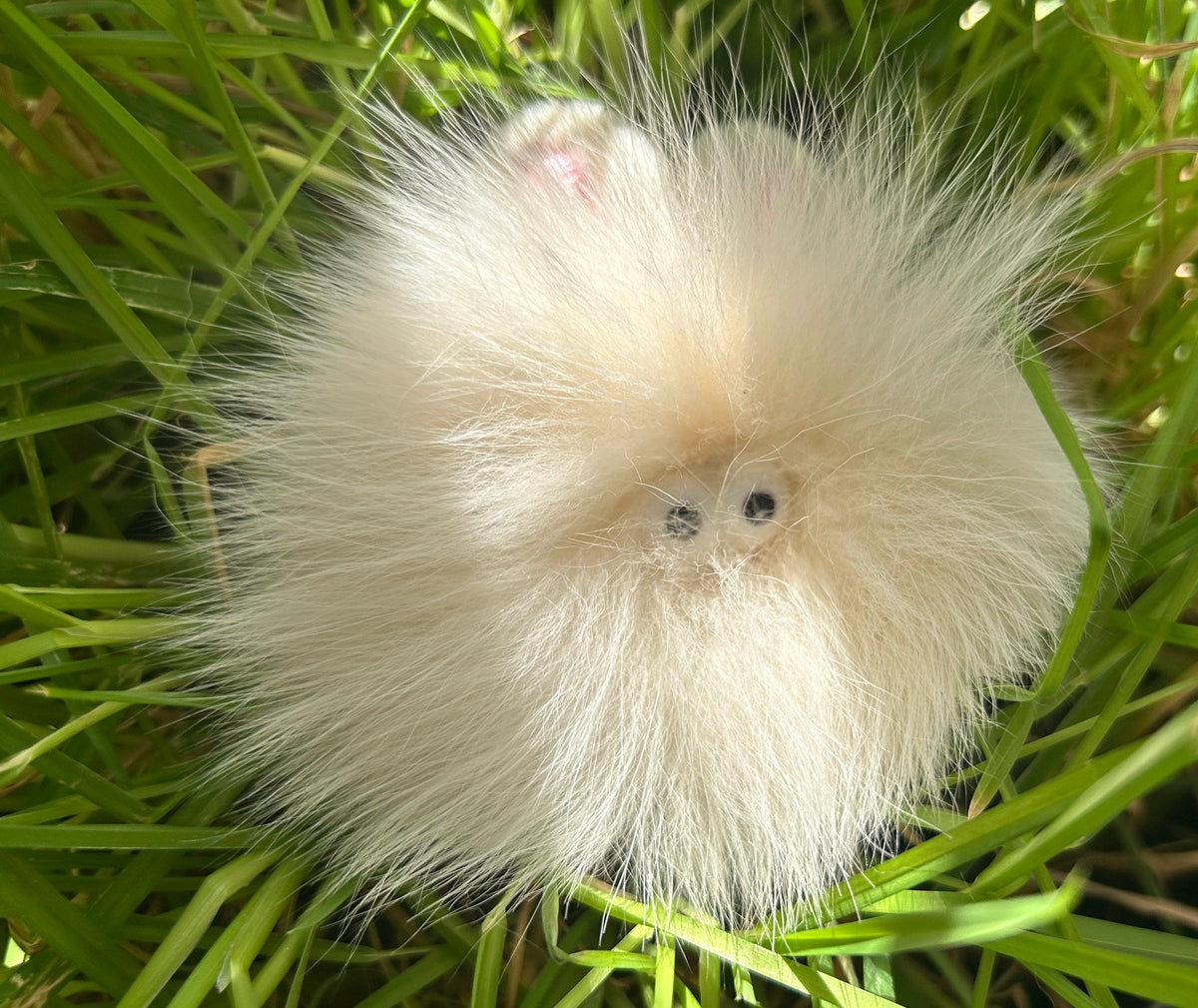 Bush Bunny | Rabbit Fur Cat Toy - Pritti Kitti Boutique