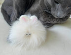 Bush Bunny | Rabbit Fur Cat Toy - Pritti Kitti Boutique