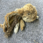 Aussie Bush Cat Toy featuring a fluffy rabbit-fur body with playful tentacles for cat entertainment.