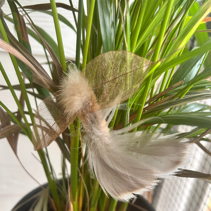 Aussie Bush cat toy with Bush Moth attachment nestled among green plant leaves.