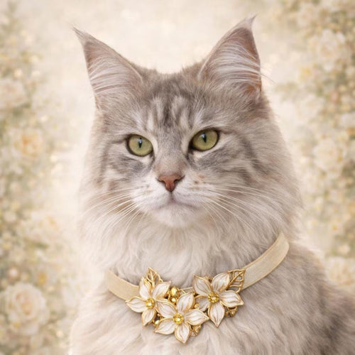 Ivory Blossom Collar - Pritti Kitti Boutique