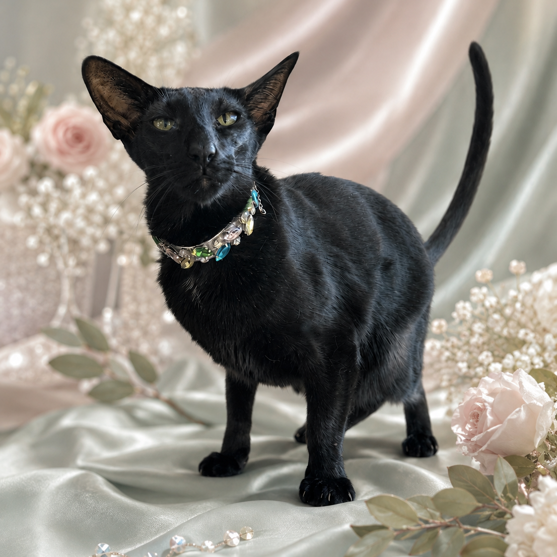 Kaleidoscope Dreams Rhinestone Collar - Pritti Kitti Boutique