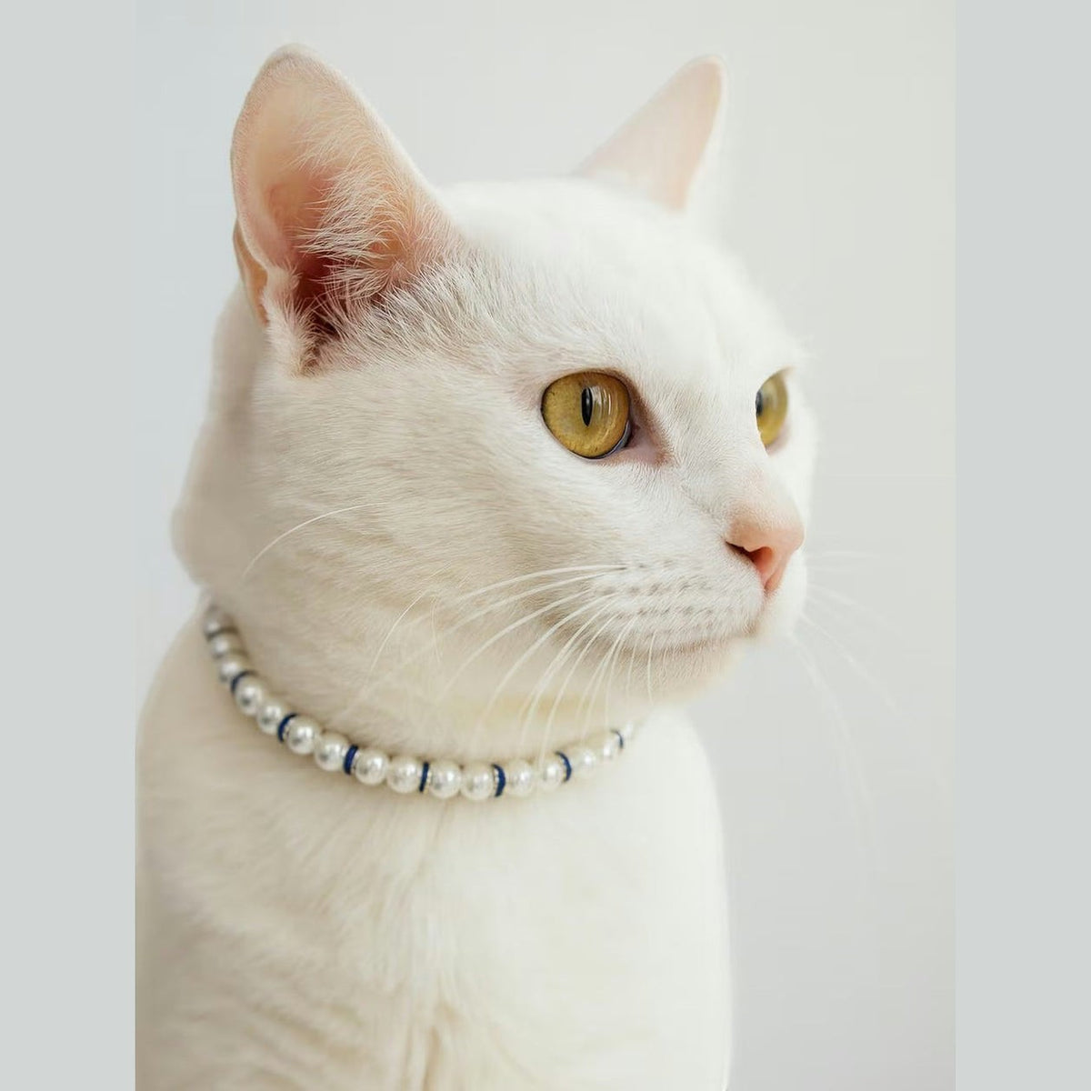 Night at the Opera Collar - Pritti Kitti Boutique