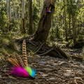 Teaser Attachment - Scrub Flutter Feather for Interactive Play - Pritti Kitti Boutique