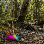 Teaser Attachment - Scrub Flutter Feather for Interactive Play - Pritti Kitti Boutique