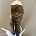 Turkey in the Straw Cat Toy Attachment - Pritti Kitti Boutique