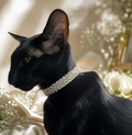 Diamonds After Dark Collar - Pritti Kitti Boutique