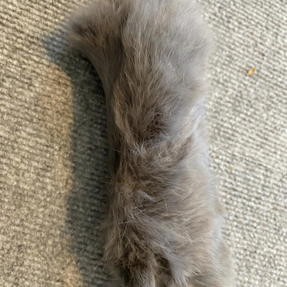 Cat Kicker Rumble Rabbit – The Ultimate Playful Companion - Pritti Kitti Boutique