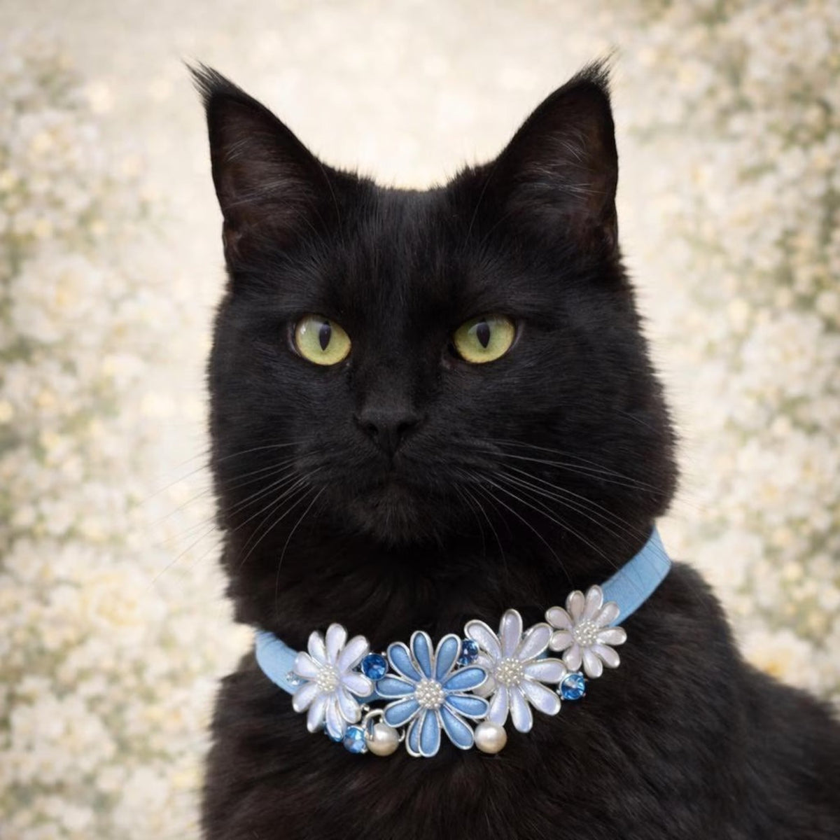 Blue Daisy Daydream - Pritti Kitti Boutique