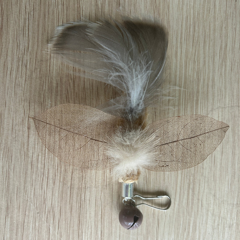 brown moth with leafy wings