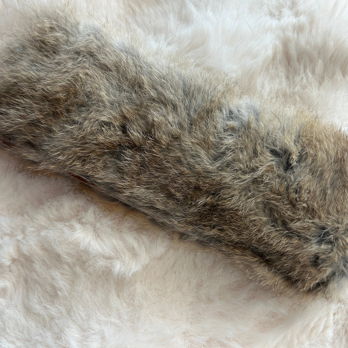 Cat Kicker Rumble Rabbit – The Ultimate Playful Companion - Pritti Kitti Boutique
