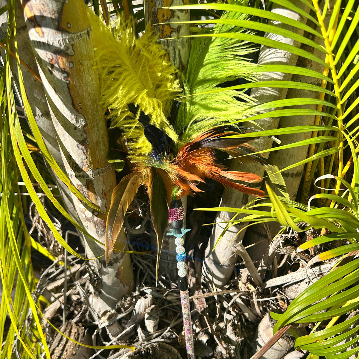Larrikin Lorikeet Feather Cat Teaser - Pritti Kitti Boutique