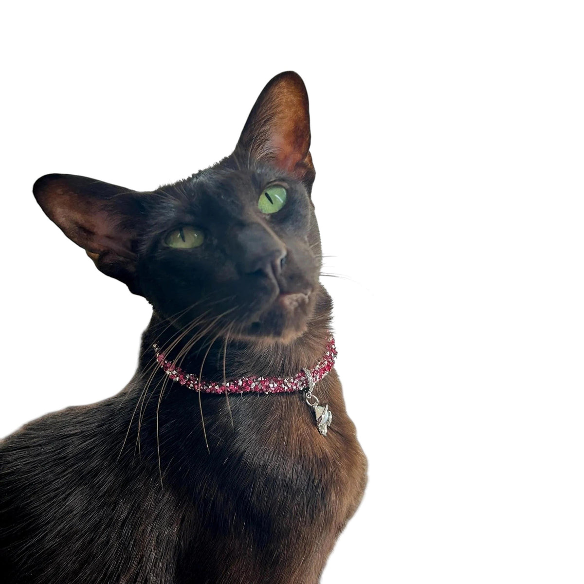 To the Moon & Back Collar - Pritti Kitti Boutique