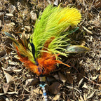 Larrikin Lorikeet Feather Cat Teaser - Pritti Kitti Boutique