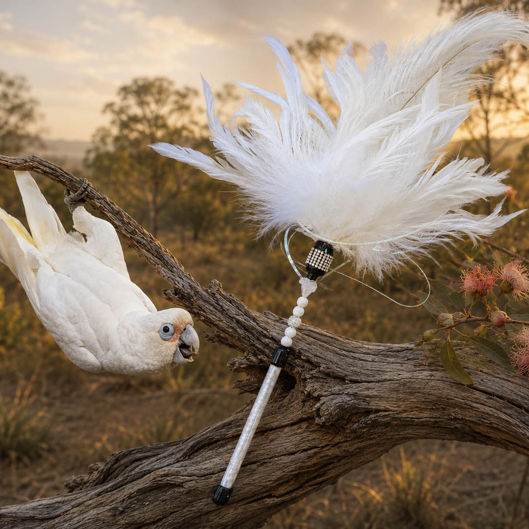 Little Corella Feather Cat Wand - Pritti Kitti Boutique