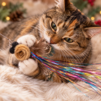 Playful cat enjoying Tinsel Bum, a Christmas Cat Gift with feather wings and sparkling tail.