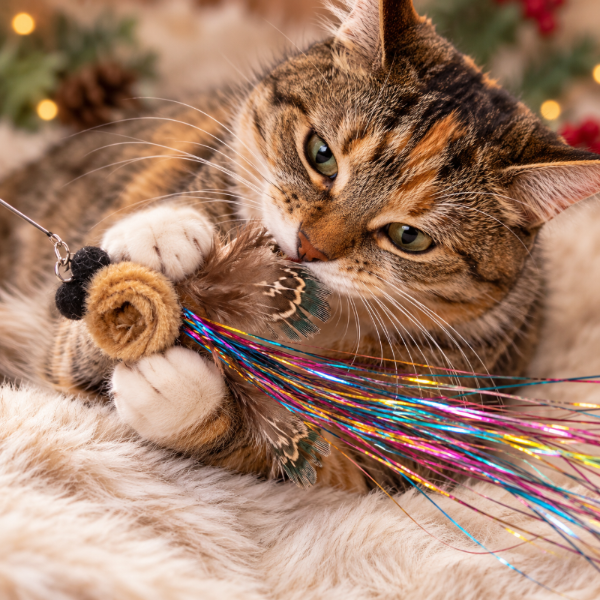 Playful cat enjoying Tinsel Bum, a Christmas Cat Gift with feather wings and sparkling tail.
