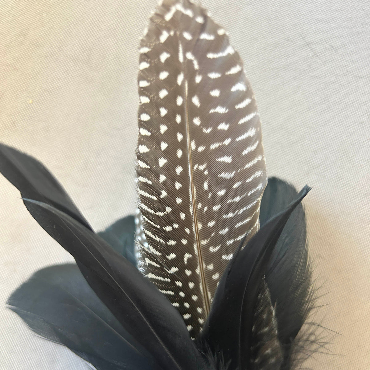Blackbird Ruckus Cat Teaser Attachment - Pritti Kitti Boutique