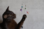 Cat Teaser Attachment: Mealy Bug for Ultimate Playtime Fun - Pritti Kitti Boutique