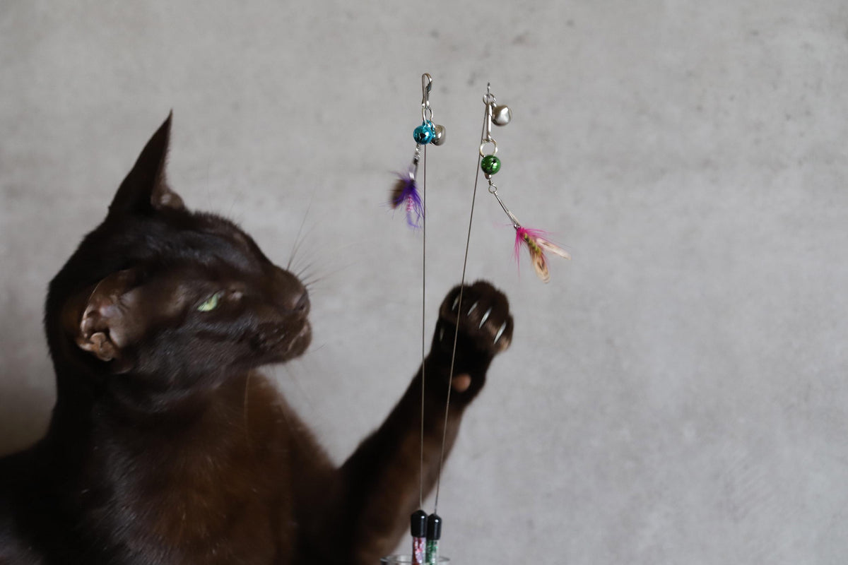 Cat Teaser Attachment: Mealy Bug for Ultimate Playtime Fun - Pritti Kitti Boutique