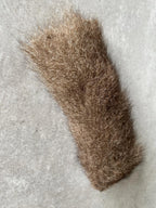 Roooo Ready to Rumble Cat Toy - Enhance Your Feline's Playtime Adventure - Pritti Kitti Boutique