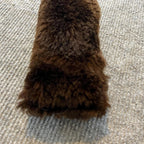 Nut Job Squirrel Fur Cat Kicker - Pritti Kitti Boutique