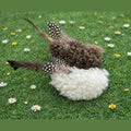 Cat Teaser Attachment: Woolly Flyer Sheepskin Toy for Cats - Pritti Kitti Boutique