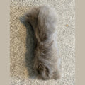Cat Kicker - Handmade Scrub Bunny Rabbit Fur Toy for Cats - Pritti Kitti Boutique