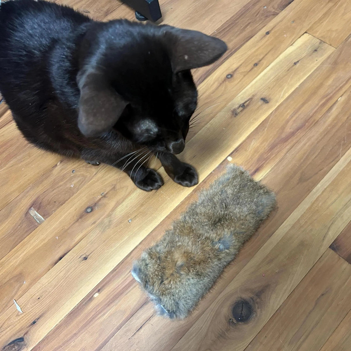 Hollow Hare Rabbit Fur Cat Toy – Unstuffed - Pritti Kitti Boutique