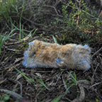 Hollow Hare Rabbit Fur Cat Toy – Unstuffed - Pritti Kitti Boutique