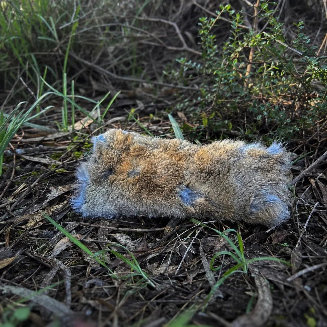 Hollow Hare Rabbit Fur Cat Toy – Unstuffed - Pritti Kitti Boutique