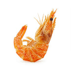 SA Dehydrated Prawns