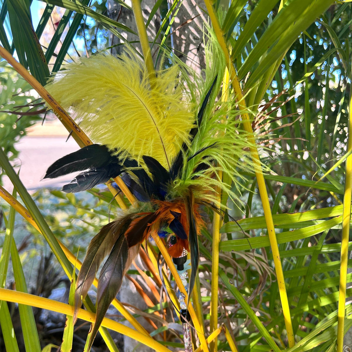 Larrikin Lorikeet Feather Cat Teaser - Pritti Kitti Boutique