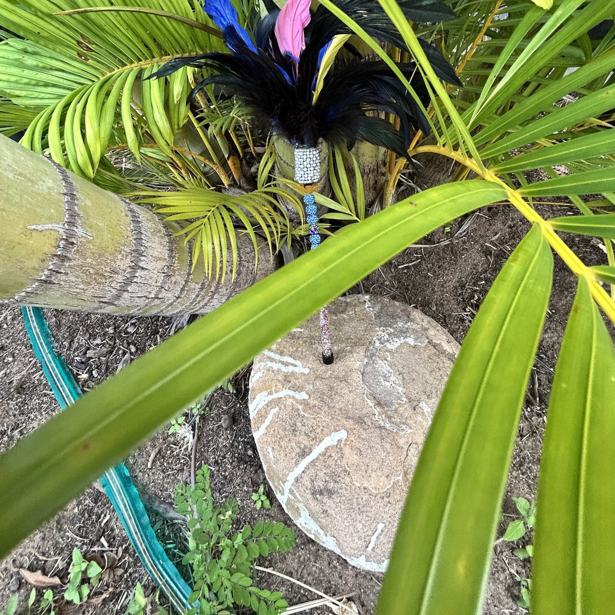 Cassowary Caper Feather Cat Teaser - Pritti Kitti Boutique