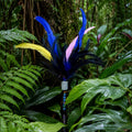 Cassowary Caper Feather Cat Teaser - Pritti Kitti Boutique