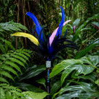Cassowary Caper Feather Cat Teaser - Pritti Kitti Boutique