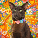 Flower Power Collar - Pritti Kitti Boutique