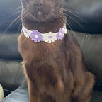 Flower Power Collar - Pritti Kitti Boutique