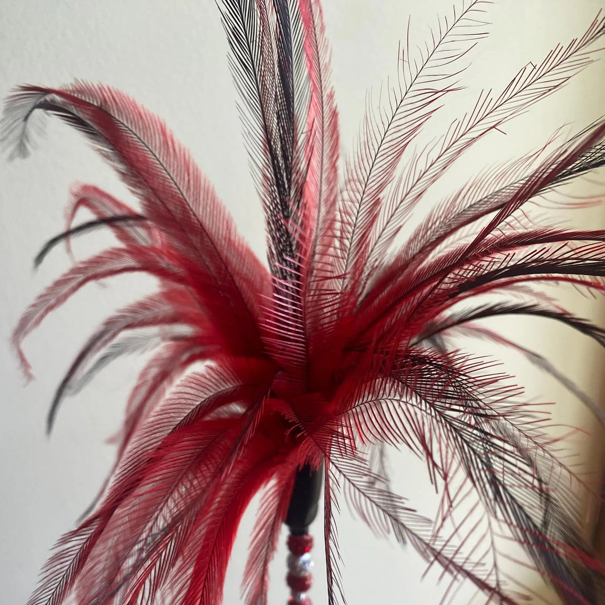 Teaser Wand: Outback Sparkle Emu Feather Cat Toy - Pritti Kitti Boutique