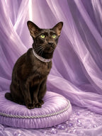 Lilac Whisper Rhinestone Collar - Pritti Kitti Boutique