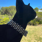 Midnight at the Ritz Collar - Pritti Kitti Boutique