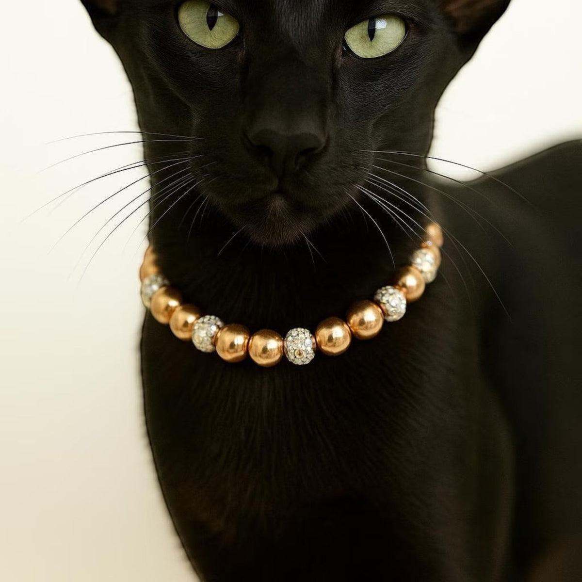 King Midas Gold Collar - Pritti Kitti Boutique