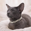 Silver Screen Collar - Pritti Kitti Boutique