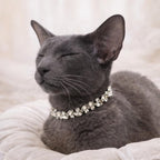 Silver Screen Collar - Pritti Kitti Boutique