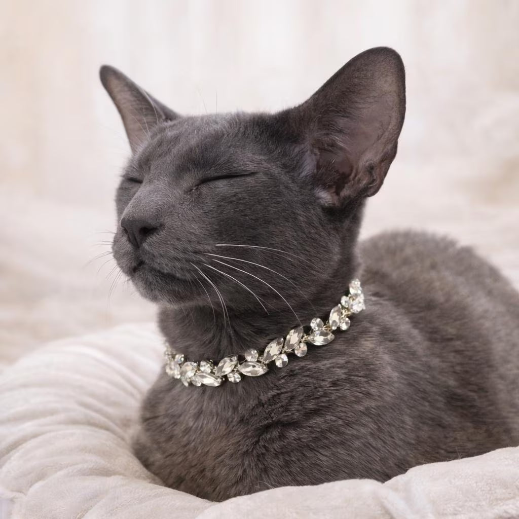 Silver Screen Collar - Pritti Kitti Boutique