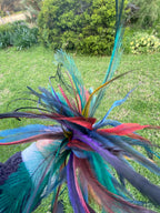 Cat Teaser Wand - Tru Blu Emu Feather Delight for Playful Cats - Pritti Kitti Boutique