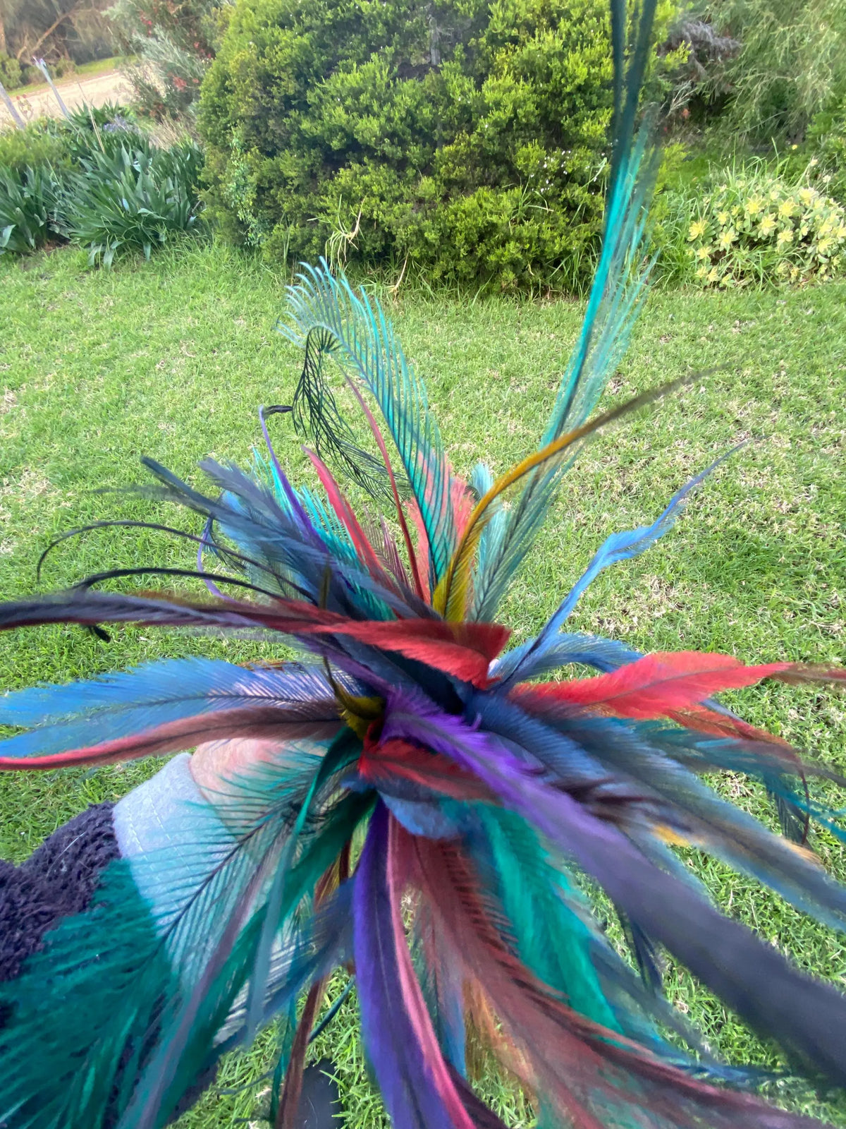 Cat Teaser Wand - Tru Blu Emu Feather Delight for Playful Cats - Pritti Kitti Boutique